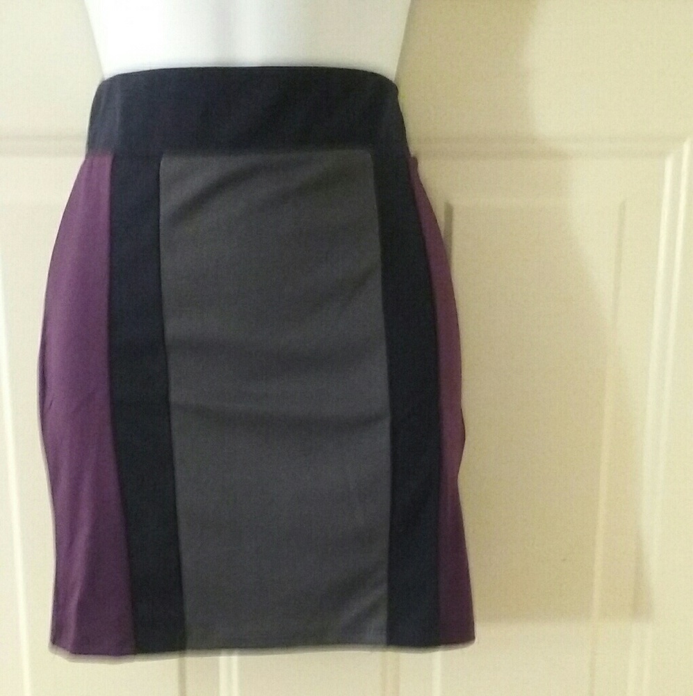 Stretch Skirt